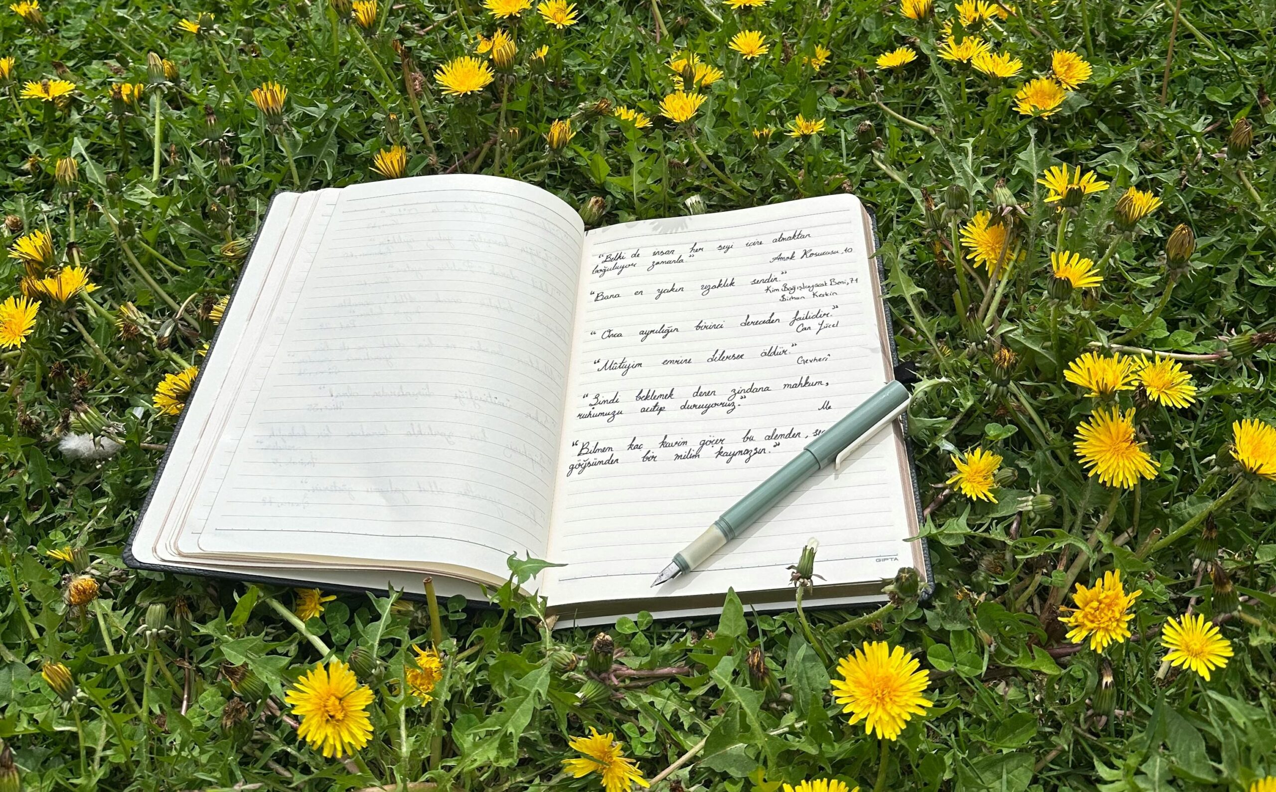 Scrittura&Coaching: 4 incontri in Fortezza a luglio!